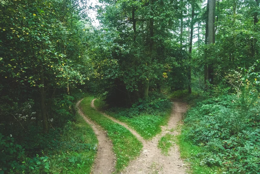 Path