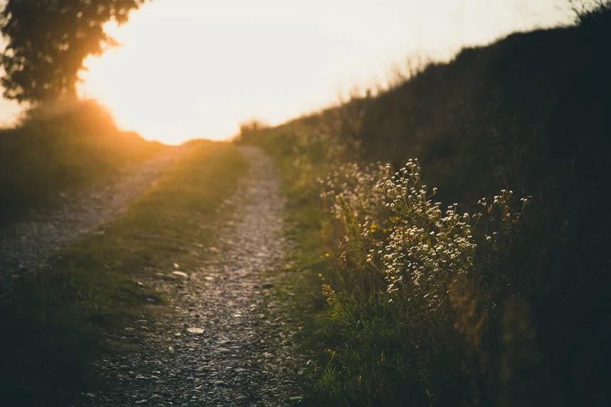 Path