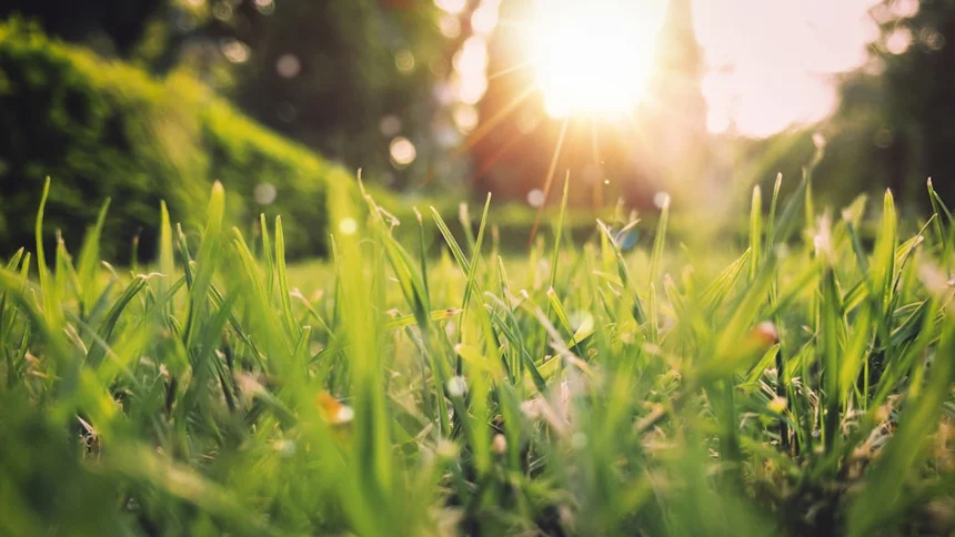 Spring