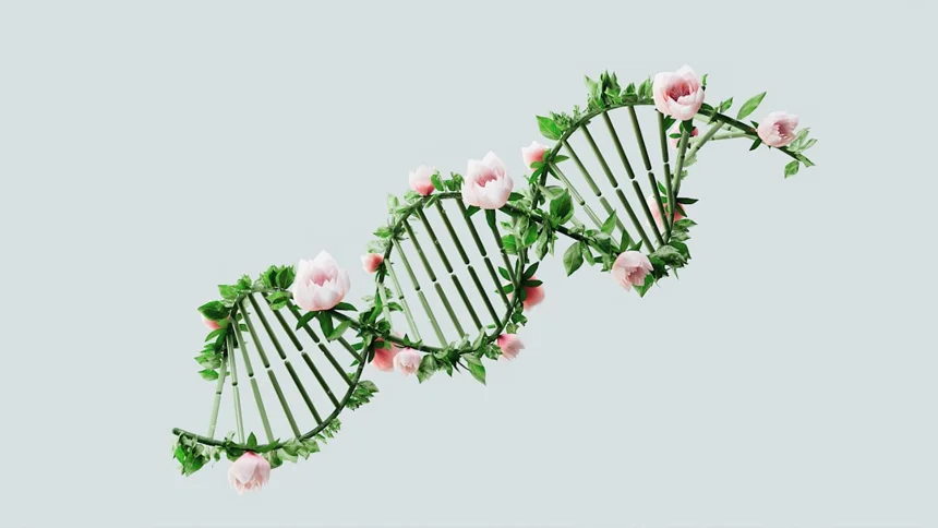 Gene therapy