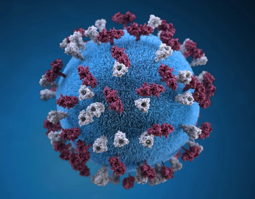 Public health