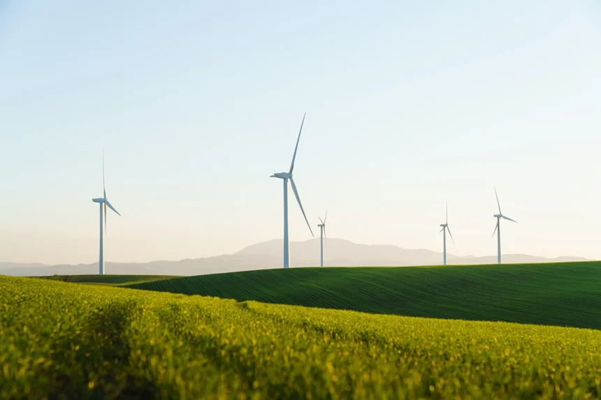 Sustainability