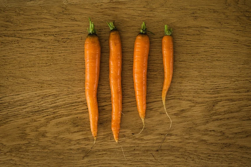 Carrot