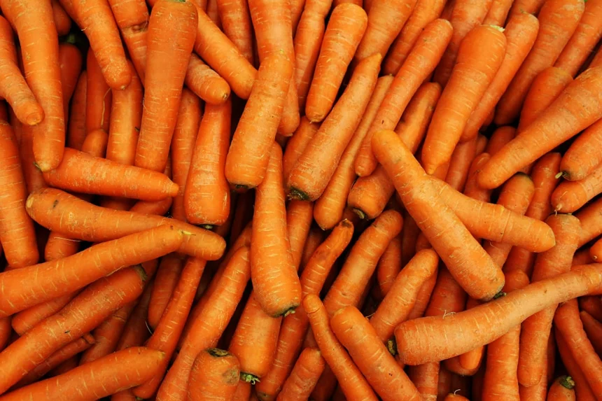 Carrot