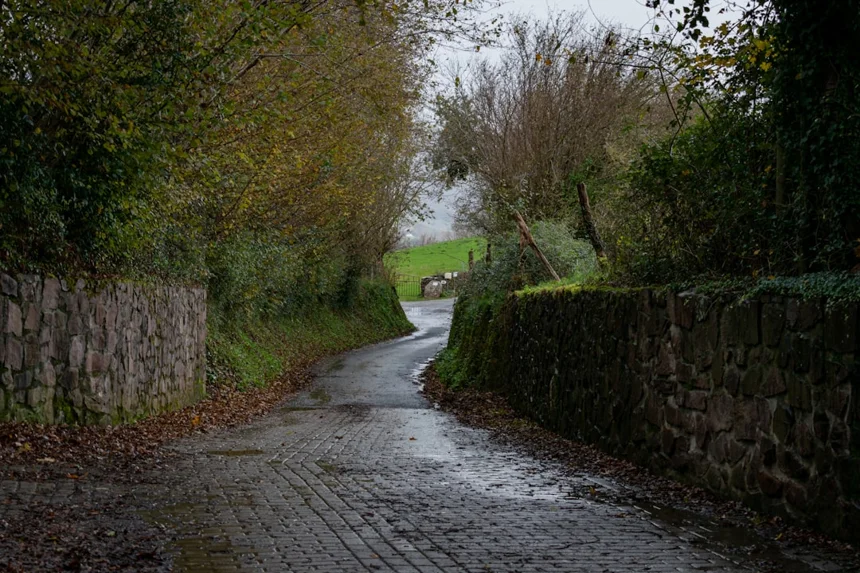 ROAS