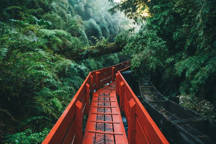 Discovery