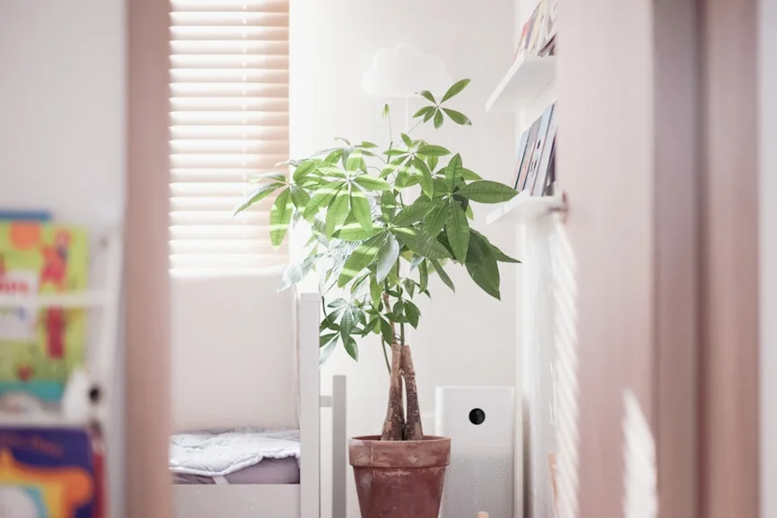 Air Purifier