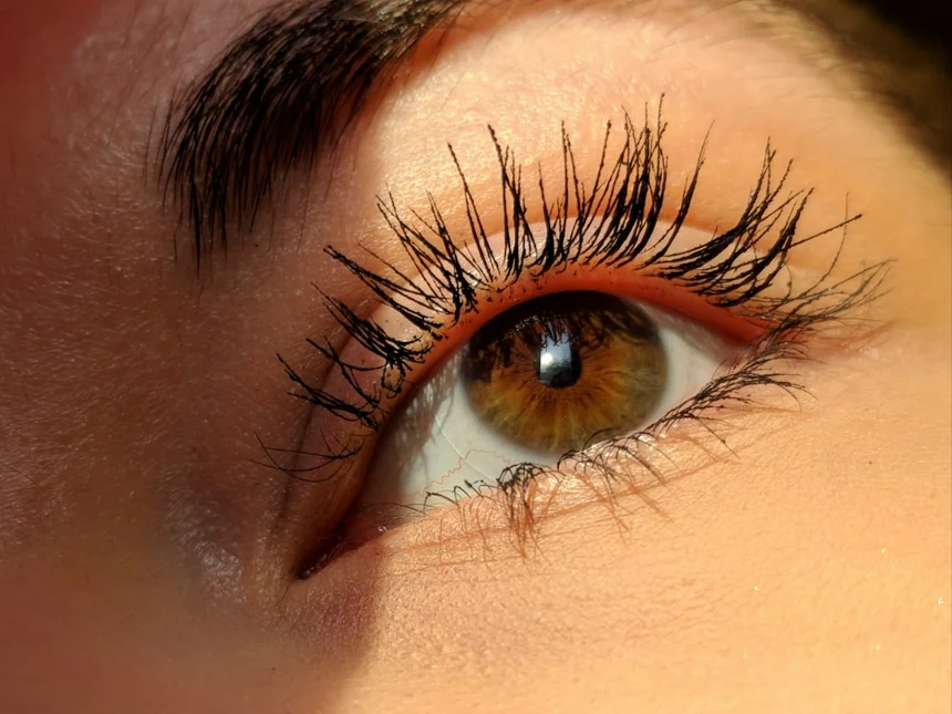 Eyelash