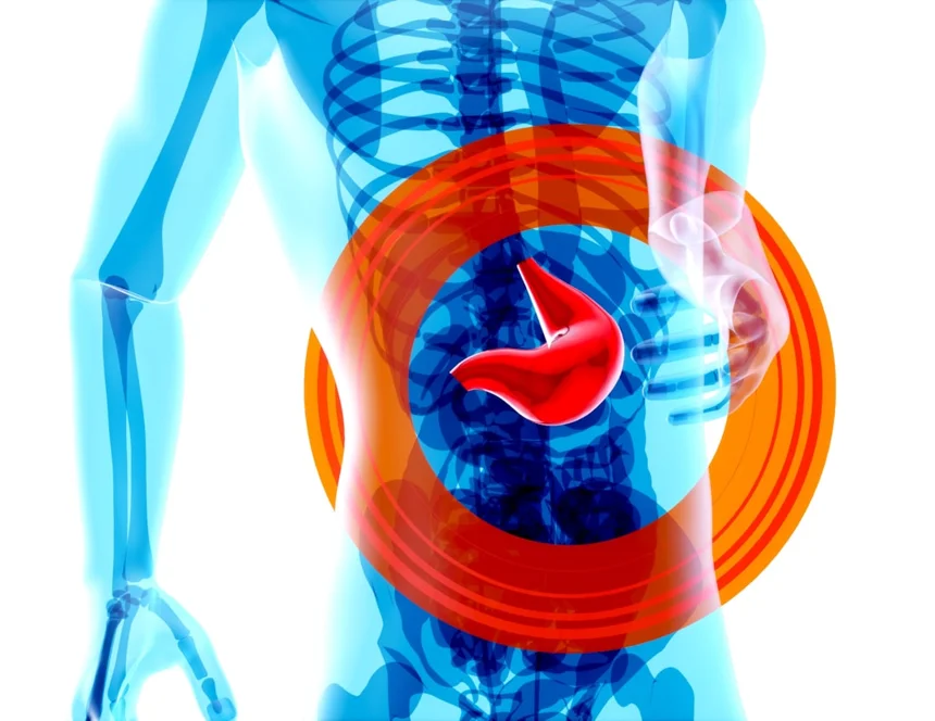 Liver
