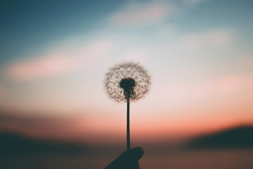 Mind