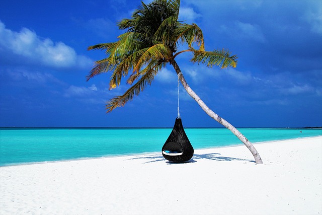 Crime scene recreation setup with palm tree backdrop