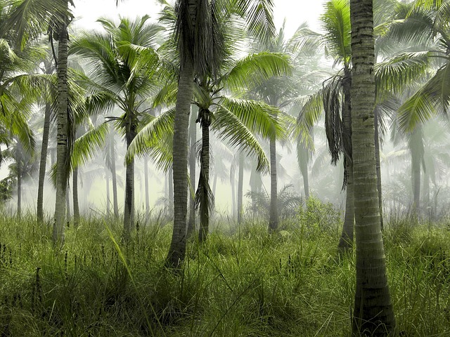 Palm tree prop used in police training scenario