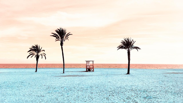 Police training scene with palm tree prop