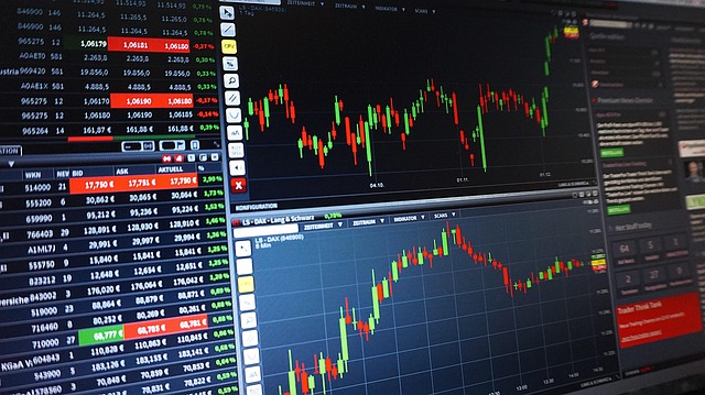 세무 서류를 검토하는 사람