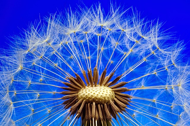 밤하늘의 별 관측 장면