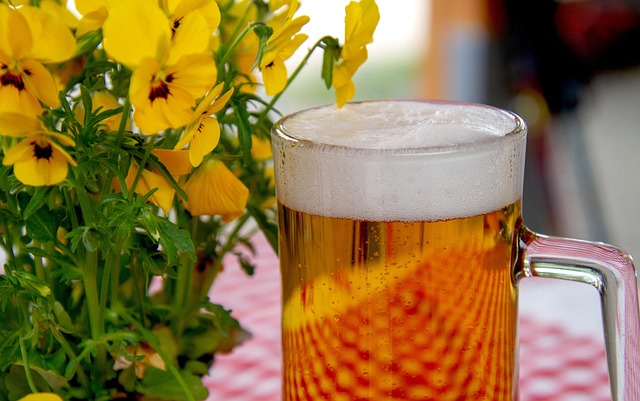 부산 맥주 축제 현장 모습