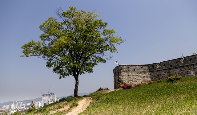 2026년 10월 4일~10월 11일 경기 수원 수원화성문화제
