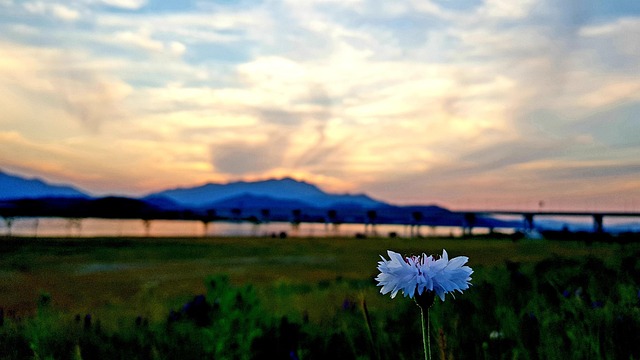 강변 축제 장식과 조명
