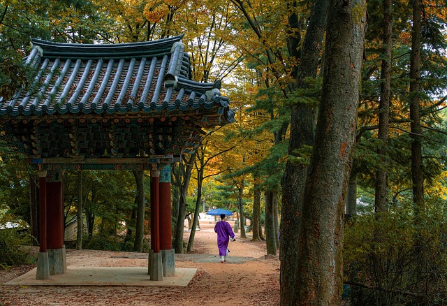 야외에서 펼쳐지는 전통 공연 장면