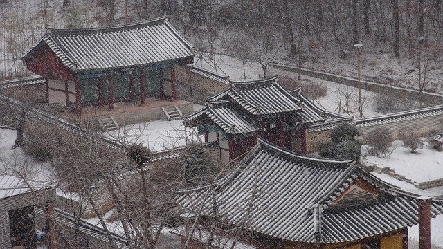 전통 의상을 입은 왕실 행렬이 거리로 나서는 모습