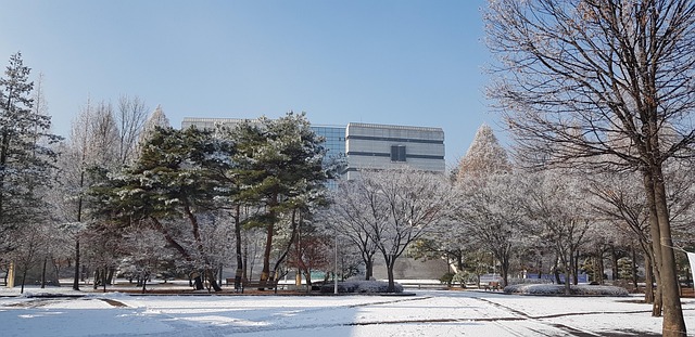 야간 축제의 불꽃놀이 모습