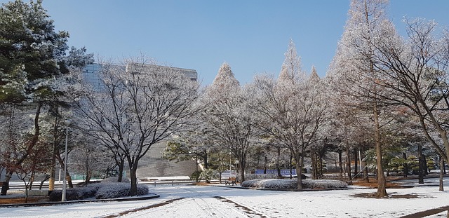 공연장 야외 무대와 조명