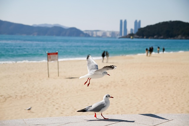 야외 학습 활동이 진행되는 모습