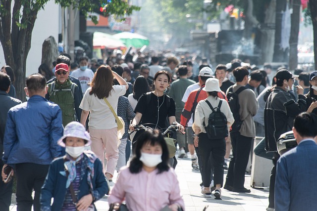 2026년 9월 6일~10월 25일 서울 차 없는 잠수교 뚜벅뚜벅축제
