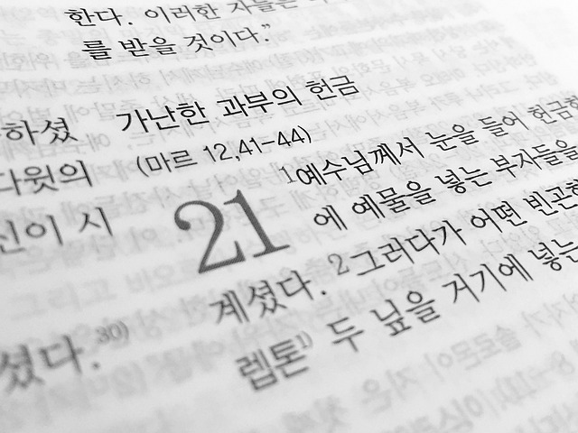 신경망 번역 인터페이스 화면