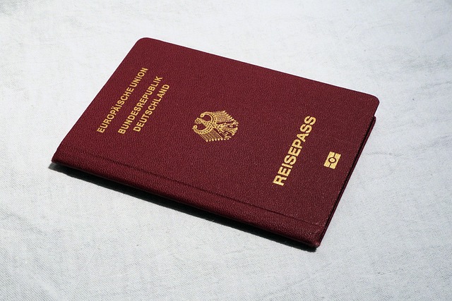 유튜브 콘텐츠 ID 대시보드 화면