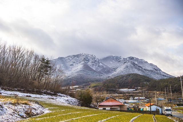 유튜브 AI 동영상 생성